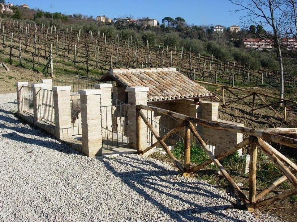 B&B L' Antica Fonte Spinetoli Kültér fotó